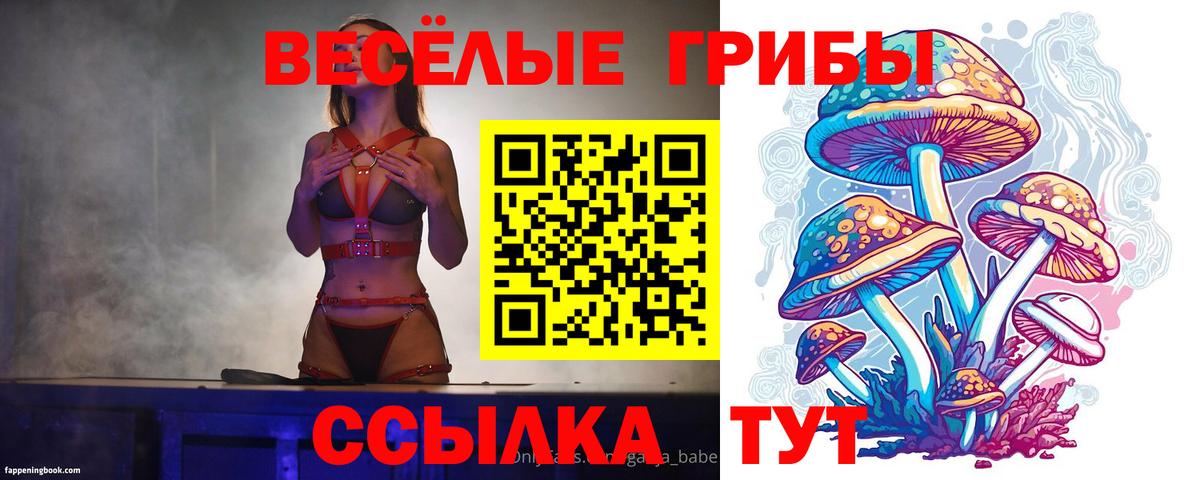 Псилоцибиновые грибы мицелий Краснотурьинск